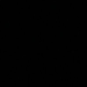 Meet your Posher, Davon